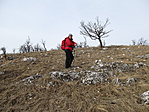 IMG_8633
