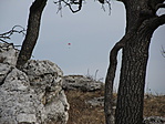 IMG_8634