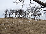 IMG_8635