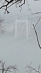 IMG_20170204_111015