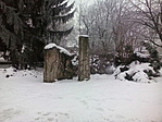 IMG_20170131_120516