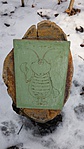 20170204_113416