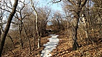 20170204_125706