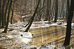 DSC07774