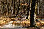 DSC07830_w