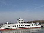 IMG_1915