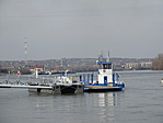 IMG_1923