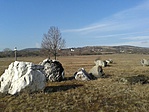 20170204_113332