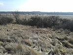 20170204_114500