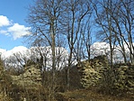 20170225_123414