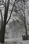 IMG_1383