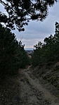 IMG_20170204_163429[1]