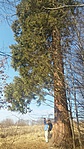 GCGIGA_20170212105459.jpg