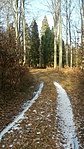 GC1939_20170212133850.jpg