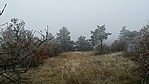 GCrtv_20170216162145.jpg