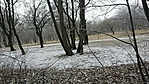GCeTBP_20170217104555.jpg