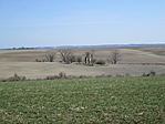 IMG_5682