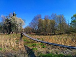 IMG_20170329_152709
