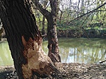 IMG_20170329_154105