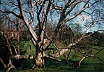 1988. május