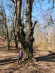 IMG_4076