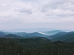 IMG_4134