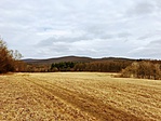 IMG_4140