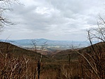 IMG_4151