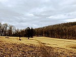 IMG_4152