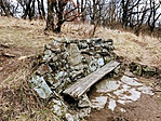 IMG_4153
