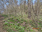 DSC00633