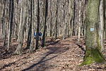 _DSC7354