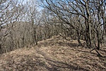 _DSC7483
