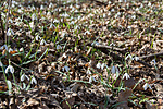 _DSC7501