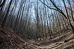 _DSC7509