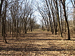IMG_8642
