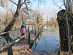 IMG_8678