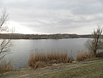 P3120111