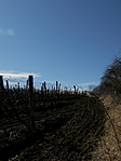 P3190067