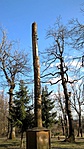 WP_20170329_16_41_00_Pro (2)