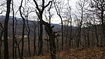 20170226_122343
