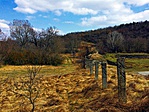 gcpavi-IMG_7078