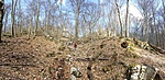 20170326_100645