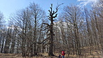 20170326_105539