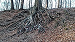 IMG_20170311_165525