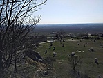 GCSZOB_20170317093326.jpg