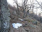 IMG_0307_02