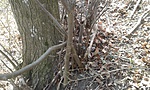 20170325_102338