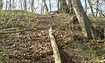 20170325_102342