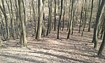 20170325_102402